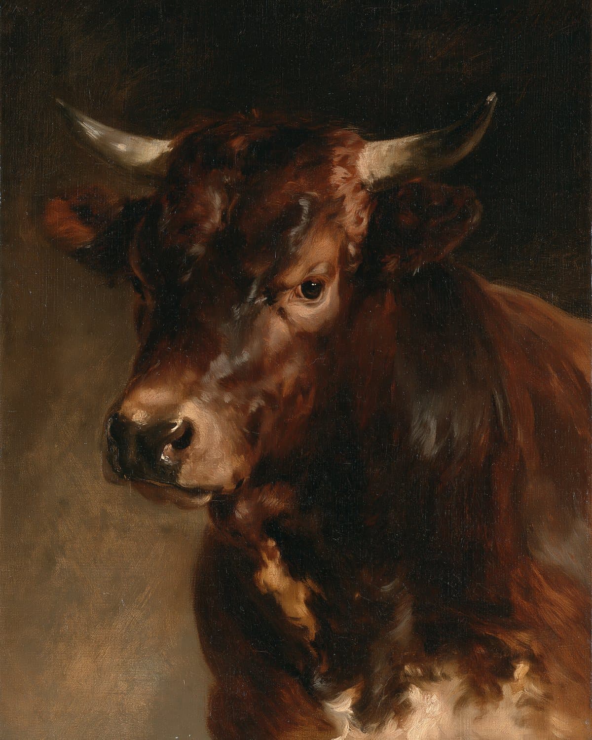 Egypt; an ox for Ephraim, an aurochs for Manasseh: a painted portrait for the tribe of Joseph