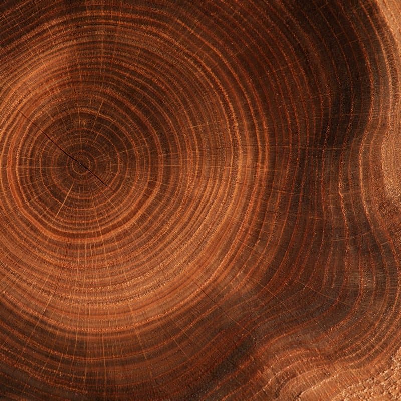 Timber
