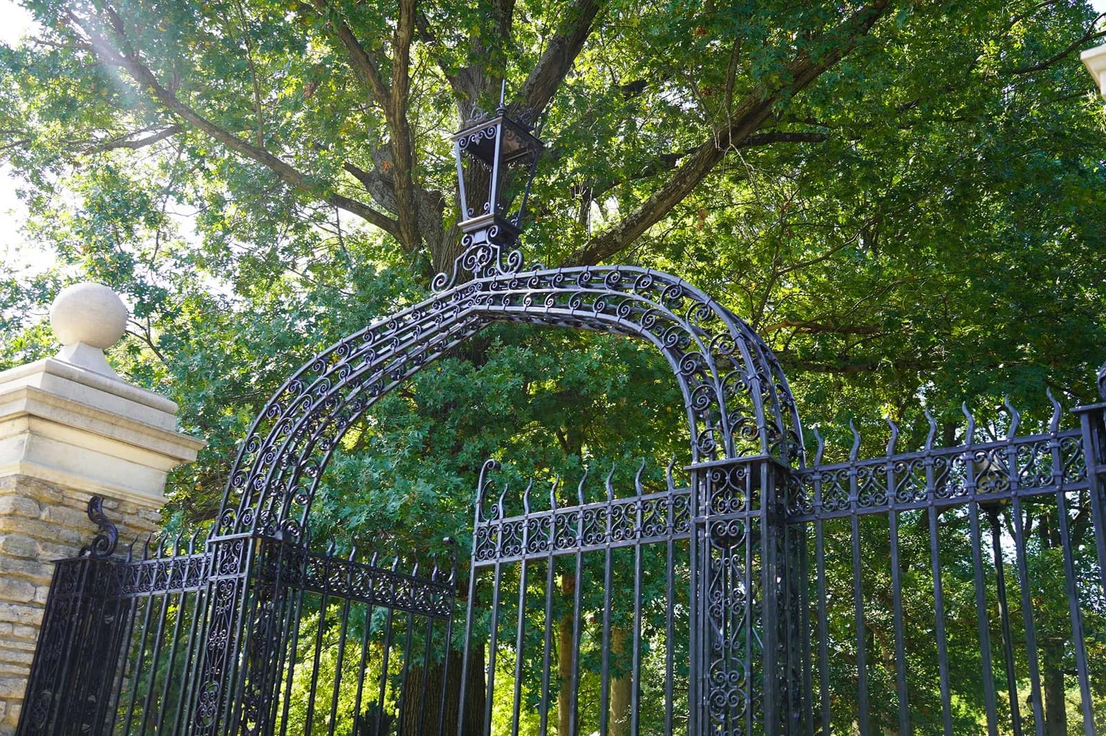 Ornamental iron arched gateway and fence among trees