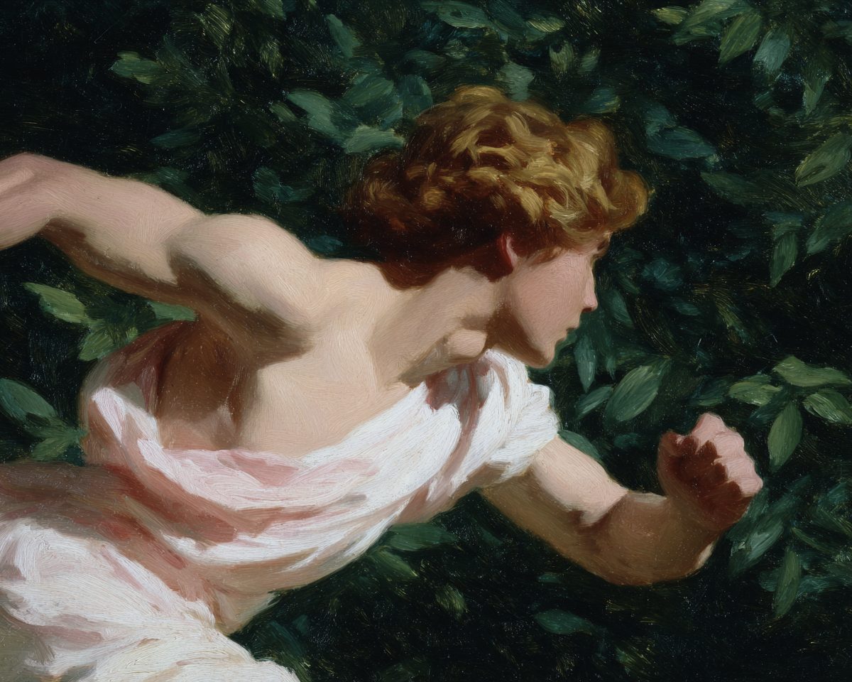 Adonis running through a forest